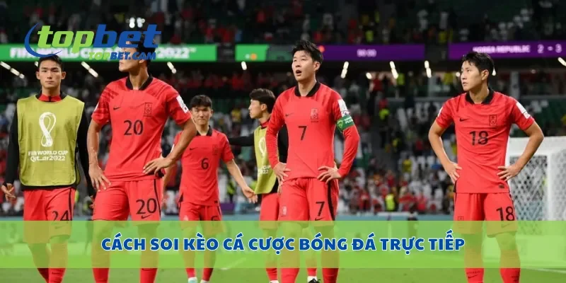 Cách soi kèo cá cược bóng đá trực tiếp