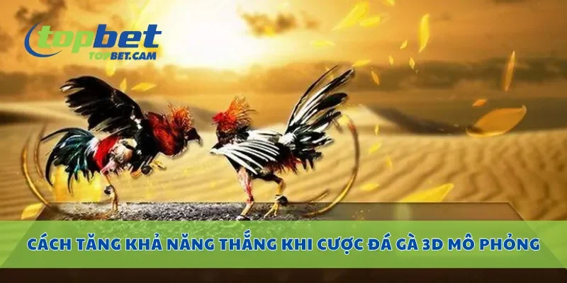 Cách tăng khả năng thắng khi cược đá gà 3D mô phỏng